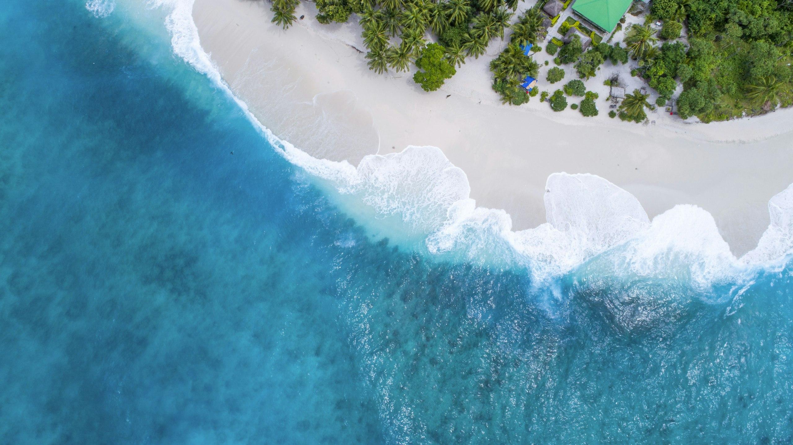 An aerial view of a catamaran under way in tropical Queensland water